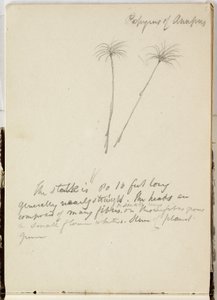 Sin título, 1841